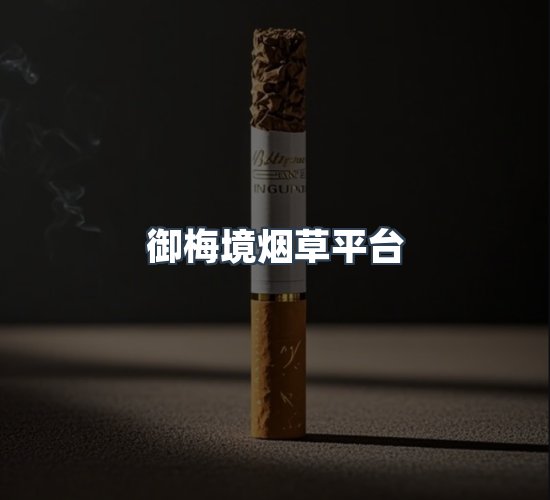 关于御梅境烟草平台